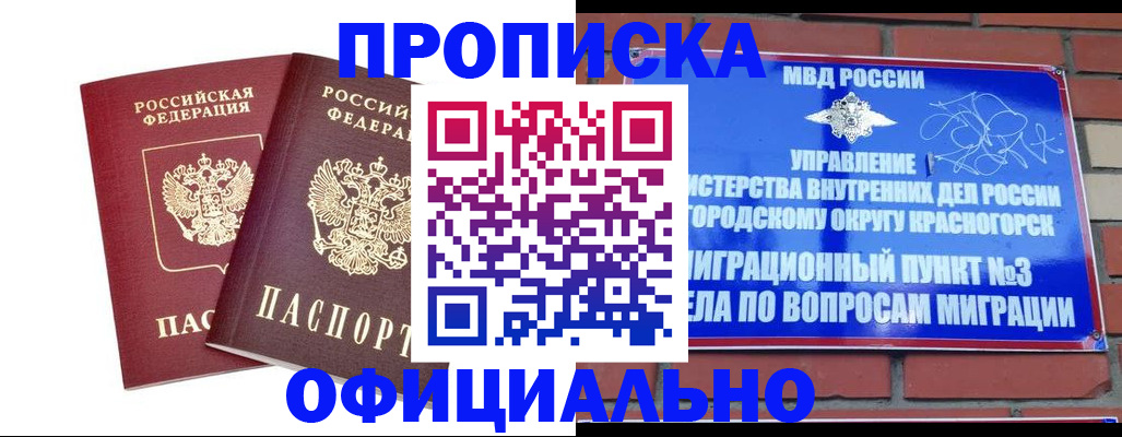 временная регистрация адрес в Лосино-Петровском
